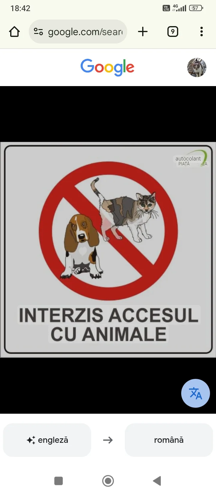 Casa Rustica Oltenia - imagine 2