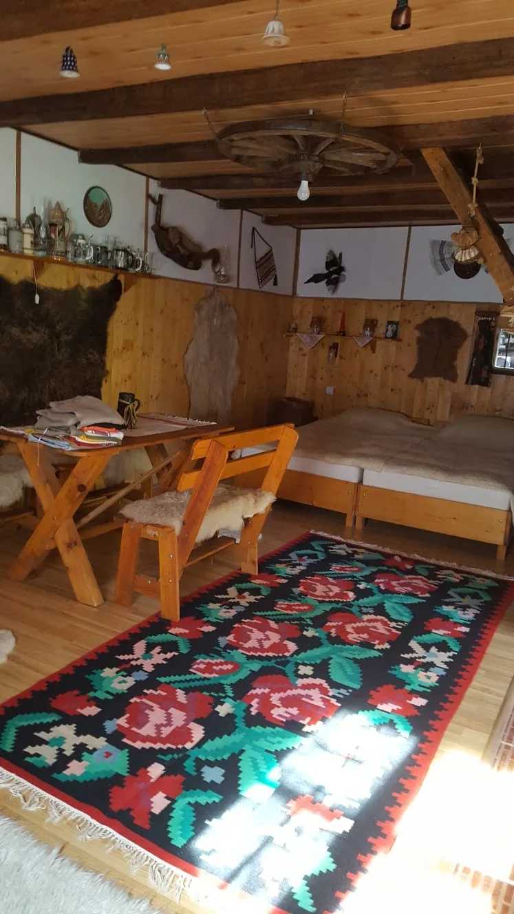 Casa Rustica Oltenia - imagine 3