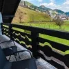 VERDE DE BUCOVINA - imagine 2