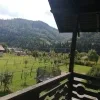 VERDE DE BUCOVINA - imagine 4